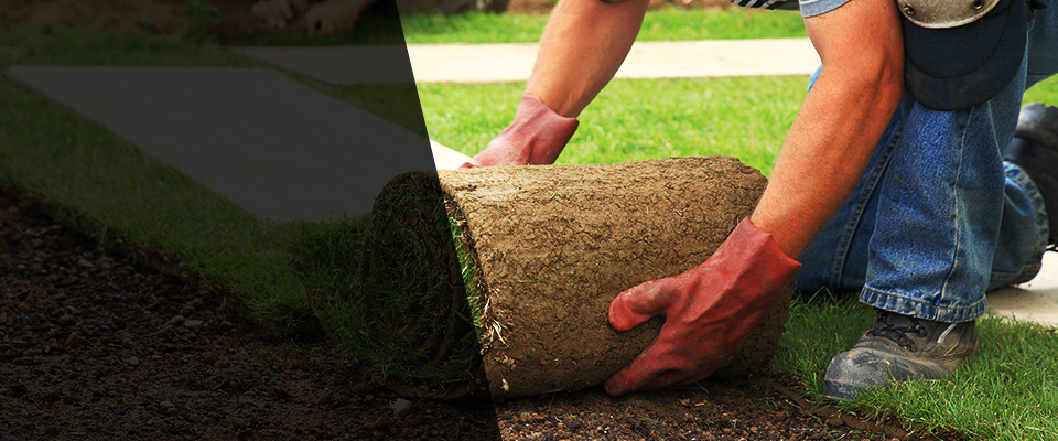 Colfax Landscapers